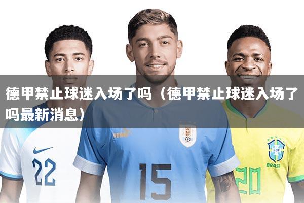 德甲禁止球迷入场了吗（德甲禁止球迷入场了吗最新消息）