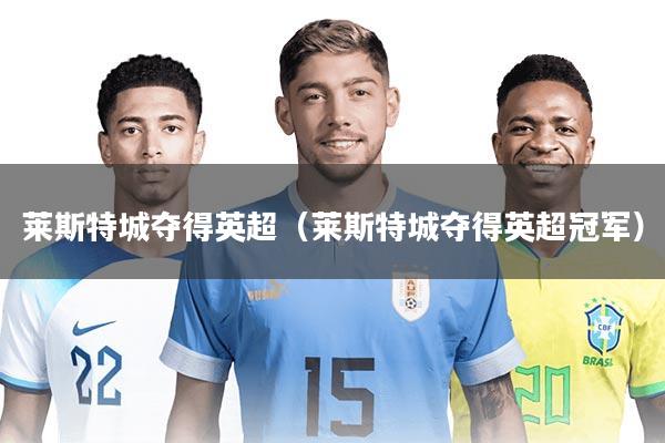 莱斯特城夺得英超（莱斯特城夺得英超冠军）