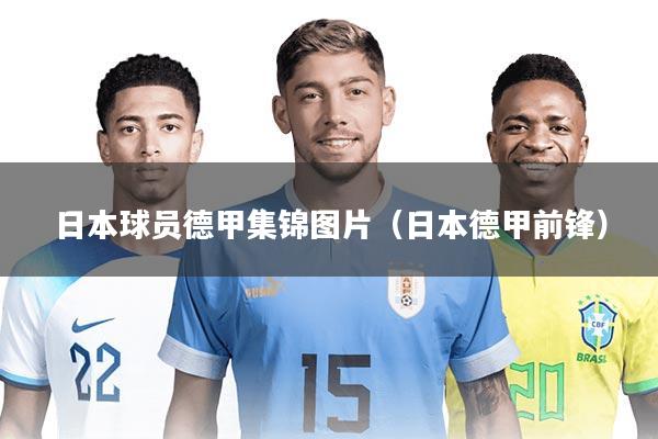 日本球员德甲集锦图片（日本德甲前锋）