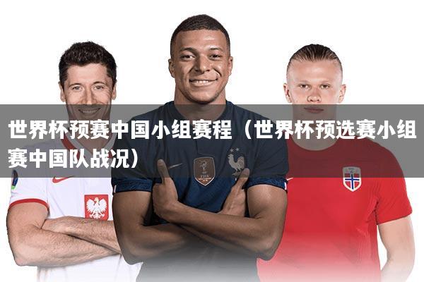 世界杯预赛中国小组赛程（世界杯预选赛小组赛中国队战况）