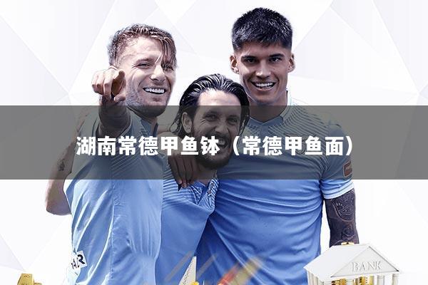 湖南常德甲鱼钵（常德甲鱼面）