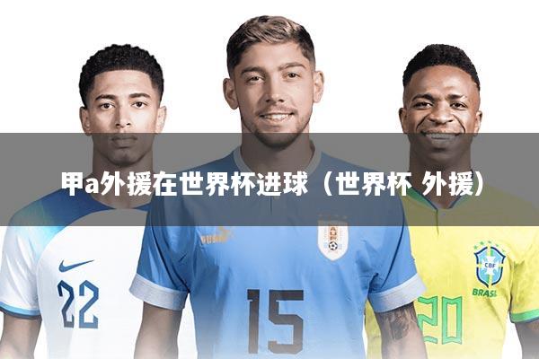 甲a外援在世界杯进球（世界杯 外援）